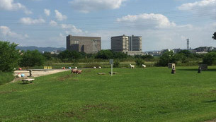 淀川河川敷公園 大塚地区 q Net